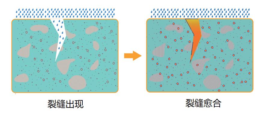 微信截图_20220613162356.jpg
